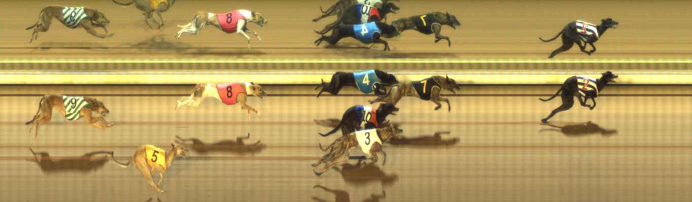 Photo finish for The Meadows Race 11