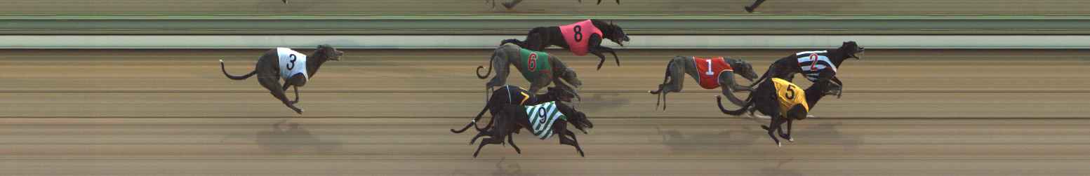 Photo finish for The Meadows Race 1