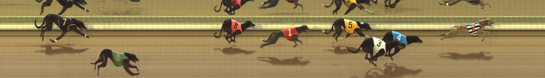 Photo finish for The Meadows Race 3