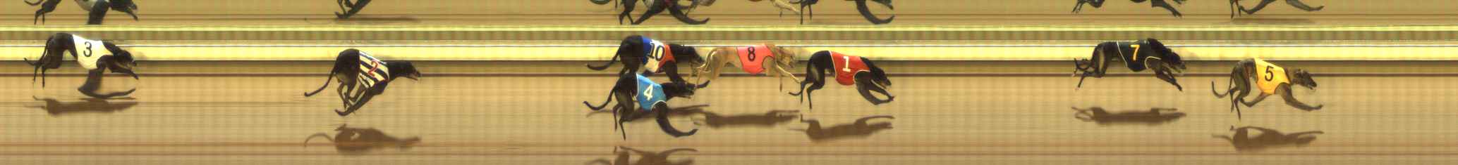 Photo finish for The Meadows Race 4