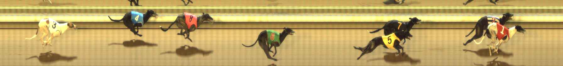Photo finish for The Meadows Race 5