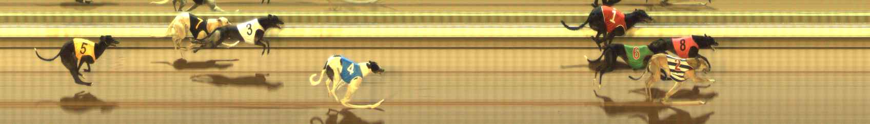 Photo finish for The Meadows Race 6