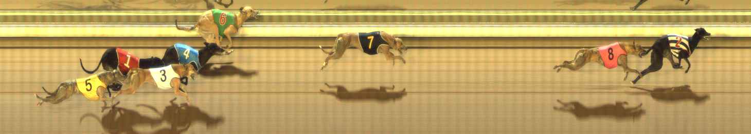 Photo finish for The Meadows Race 7