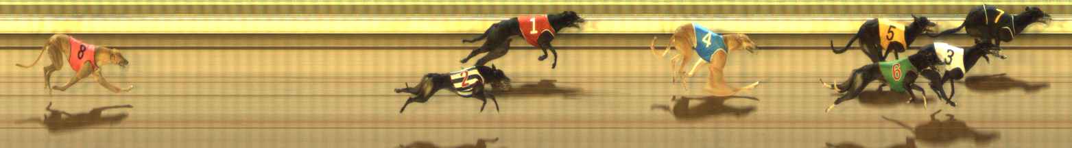Photo finish for The Meadows Race 8