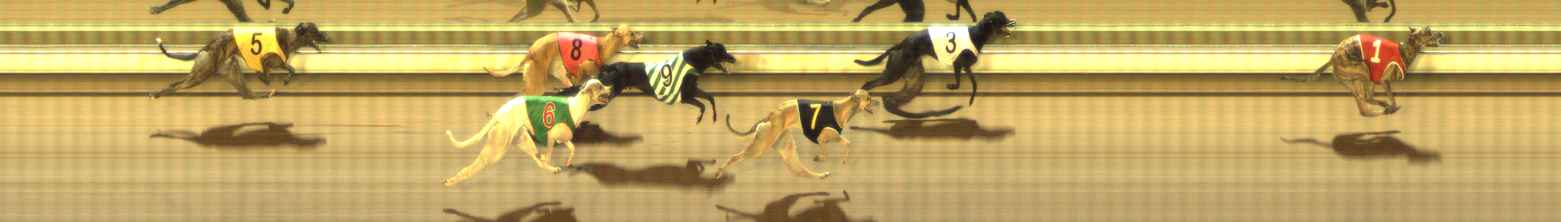 Photo finish for The Meadows Race 9