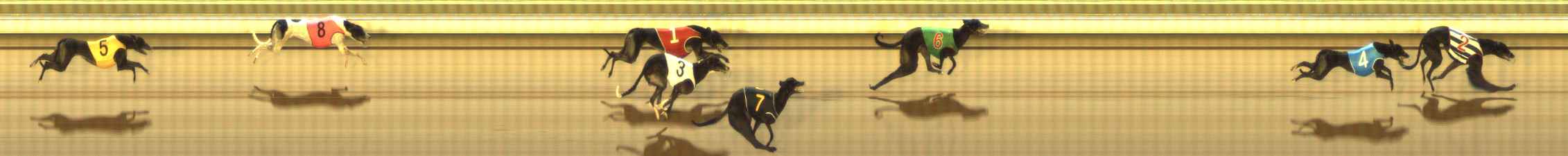 Photo finish for The Meadows Race 10