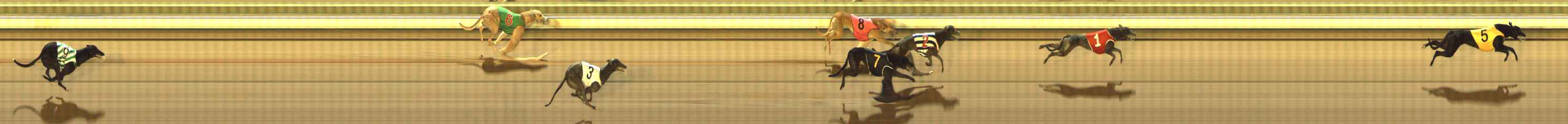 Photo finish for The Meadows Race 11