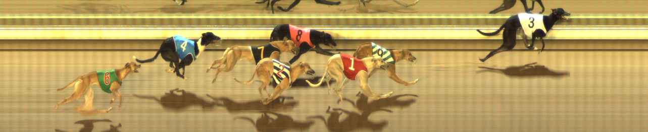 Photo finish for The Meadows Race 12