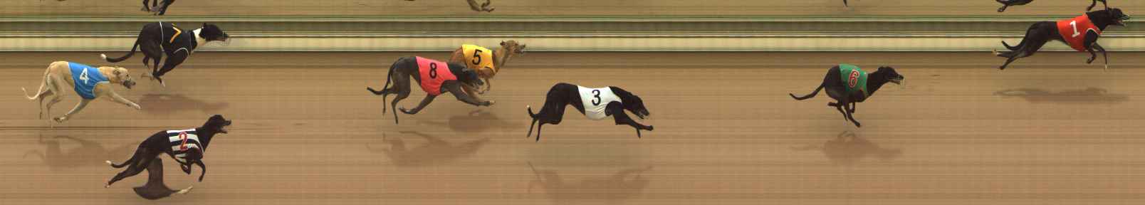 Photo finish for The Meadows Race 1