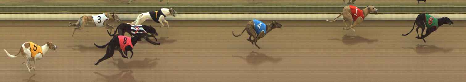 Photo finish for The Meadows Race 2