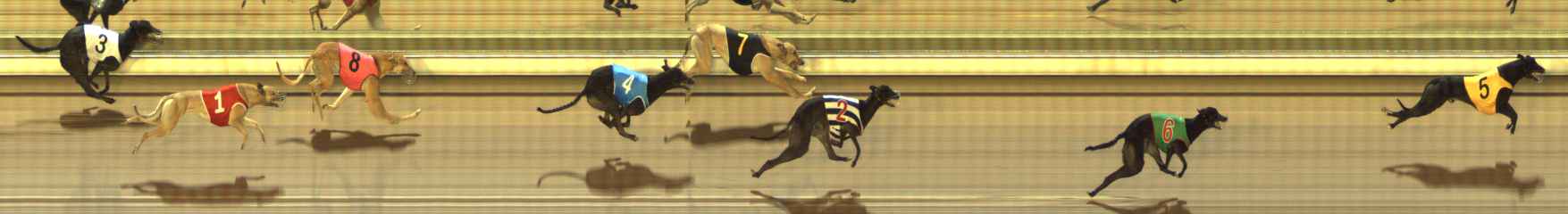 Photo finish for The Meadows Race 4