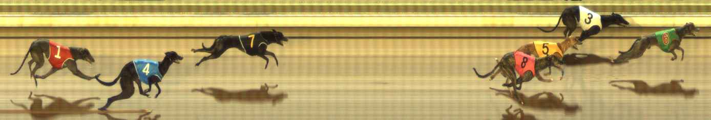 Photo finish for The Meadows Race 5