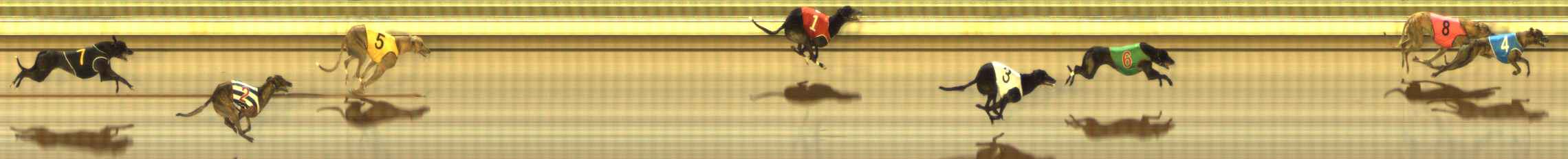 Photo finish for The Meadows Race 6