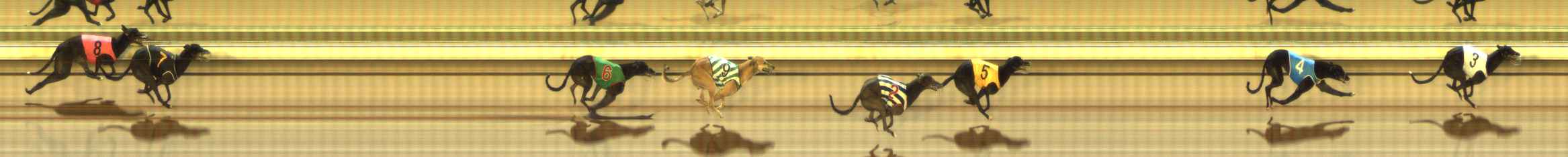 Photo finish for The Meadows Race 7