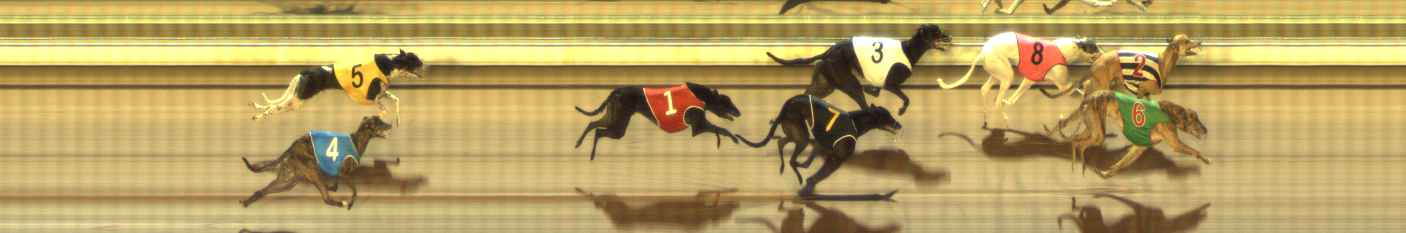 Photo finish for The Meadows Race 8