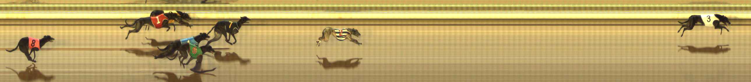 Photo finish for The Meadows Race 9