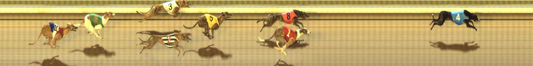 Photo finish for The Meadows Race 10