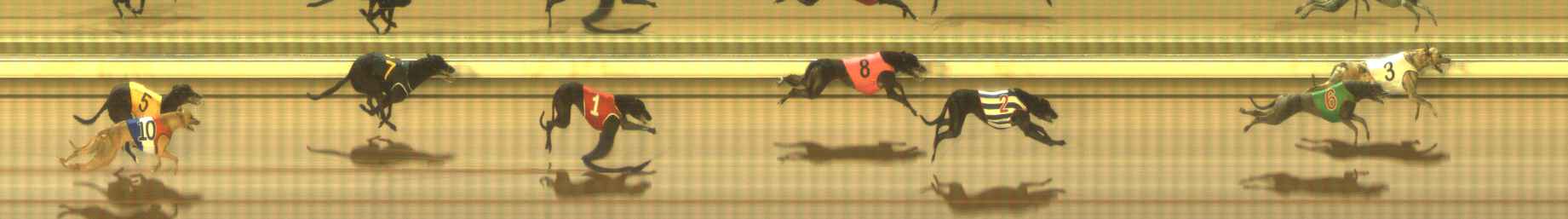 Photo finish for The Meadows Race 12