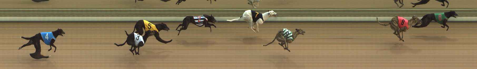 Photo finish for The Meadows Race 1