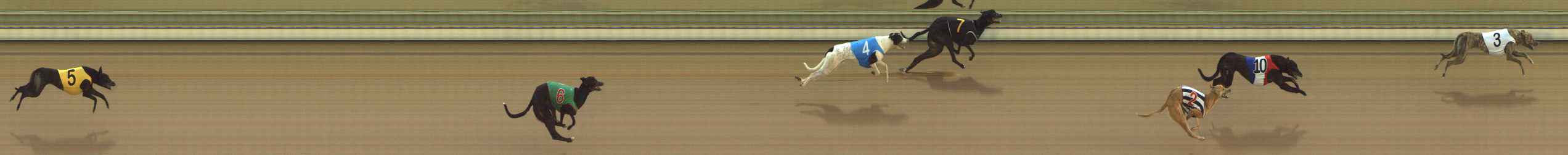 Photo finish for The Meadows Race 2