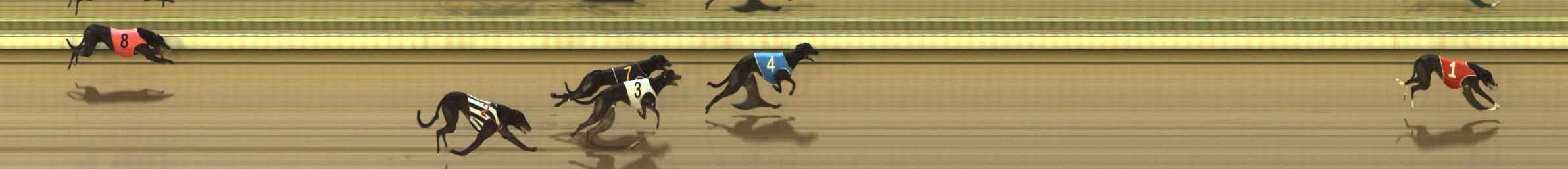 Photo finish for The Meadows Race 4