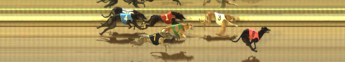 Photo finish for The Meadows Race 5