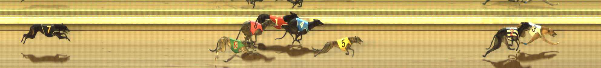 Photo finish for The Meadows Race 6