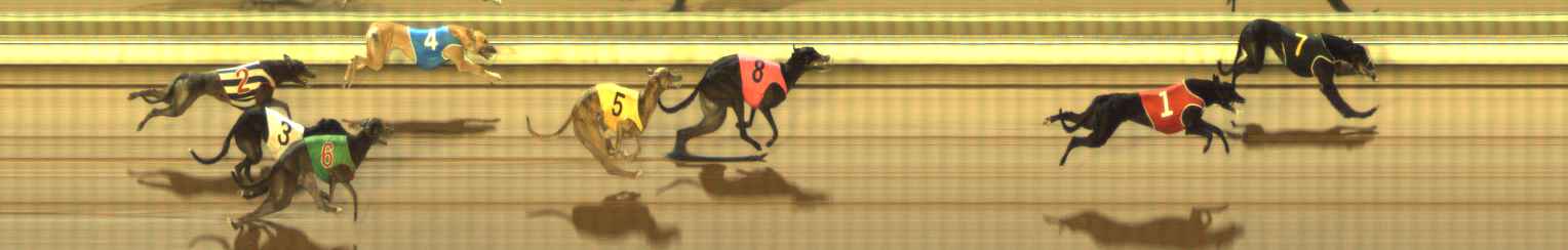 Photo finish for The Meadows Race 7