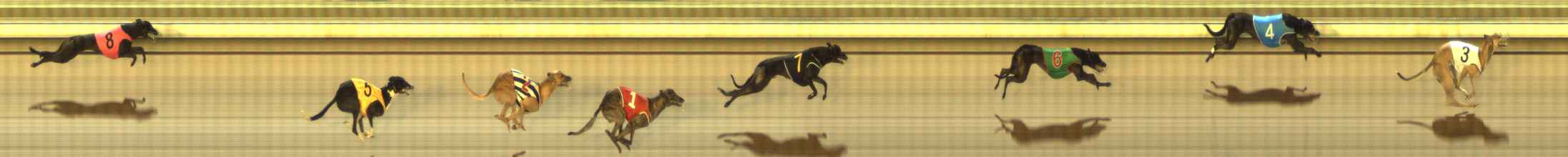 Photo finish for The Meadows Race 8