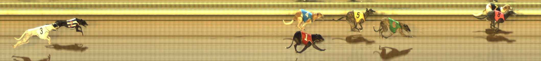 Photo finish for The Meadows Race 9