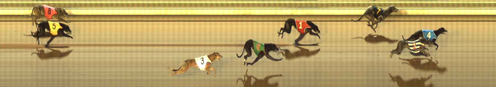 Photo finish for The Meadows Race 10