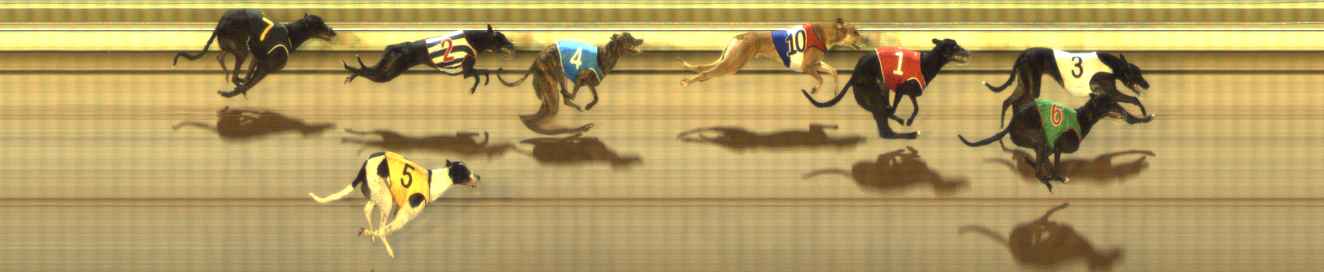 Photo finish for The Meadows Race 11