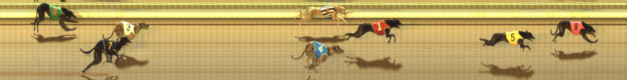Photo finish for The Meadows Race 12