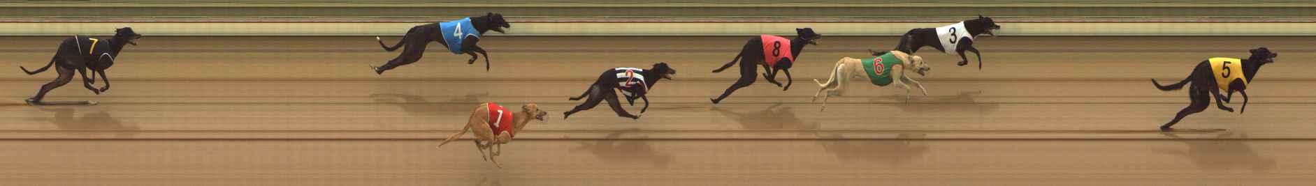 Photo finish for The Meadows Race 1