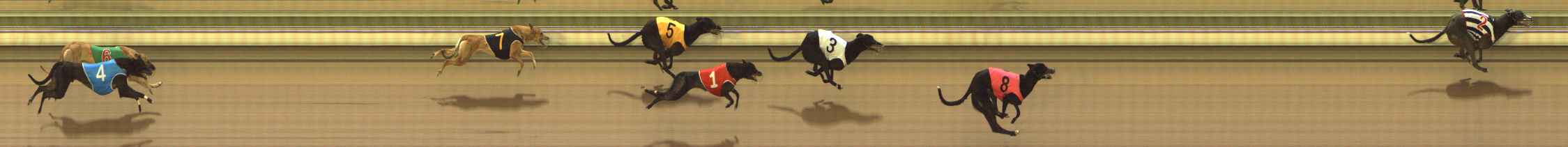 Photo finish for The Meadows Race 2