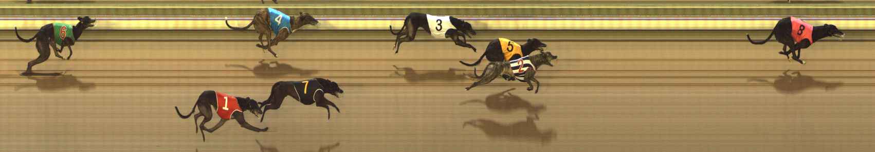 Photo finish for The Meadows Race 3