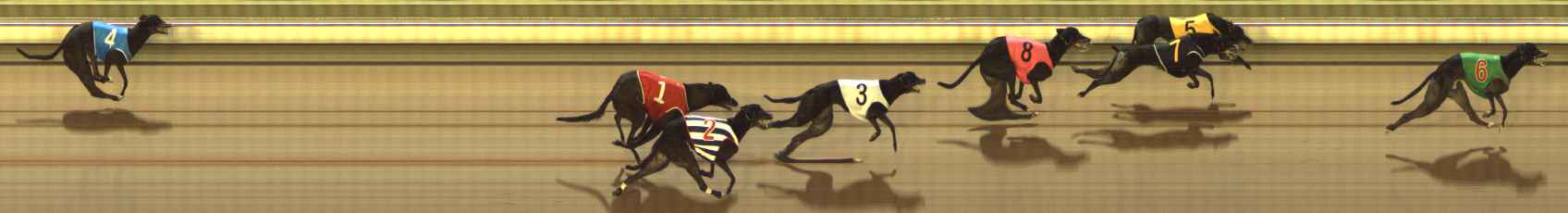 Photo finish for The Meadows Race 4