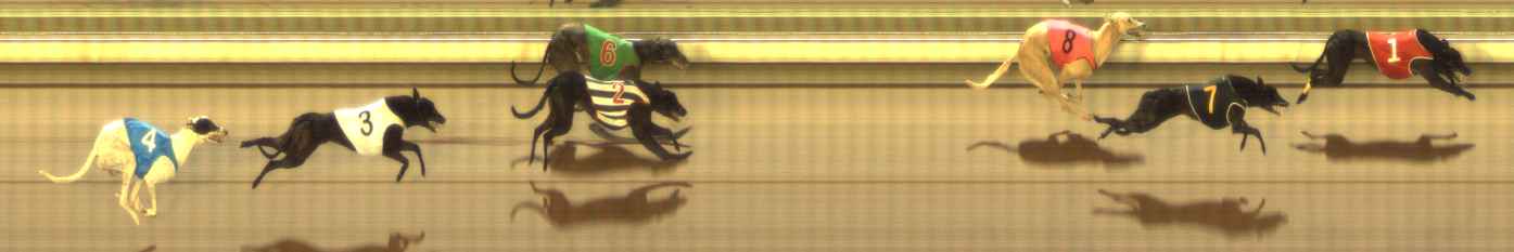 Photo finish for The Meadows Race 5