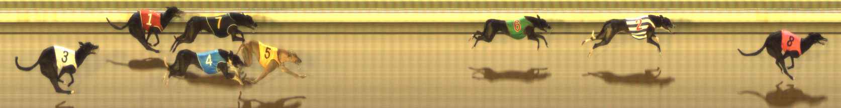 Photo finish for The Meadows Race 6