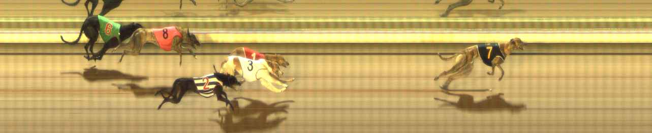 Photo finish for The Meadows Race 7