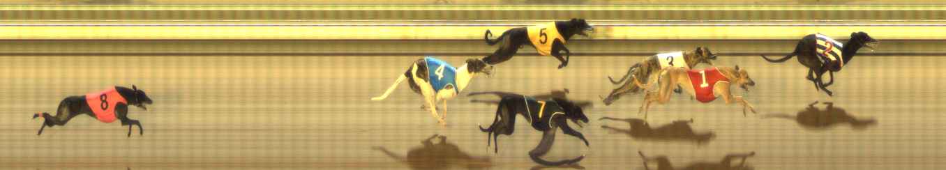 Photo finish for The Meadows Race 8