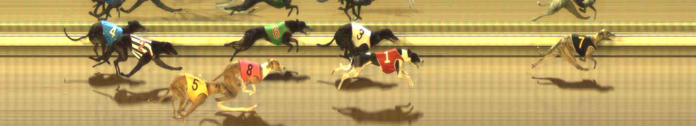 Photo finish for The Meadows Race 9