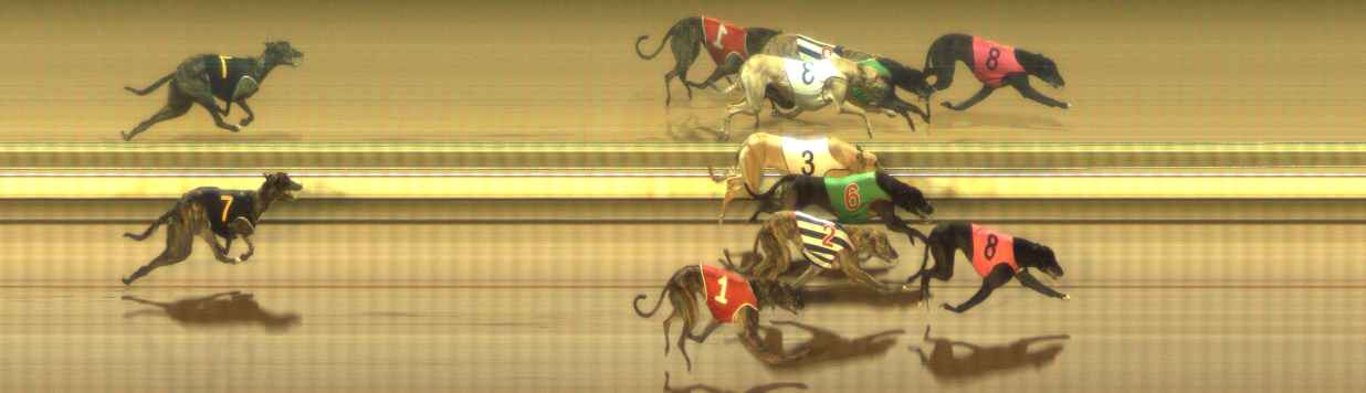 Photo finish for The Meadows Race 10