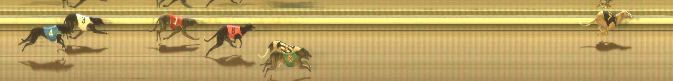 Photo finish for The Meadows Race 11