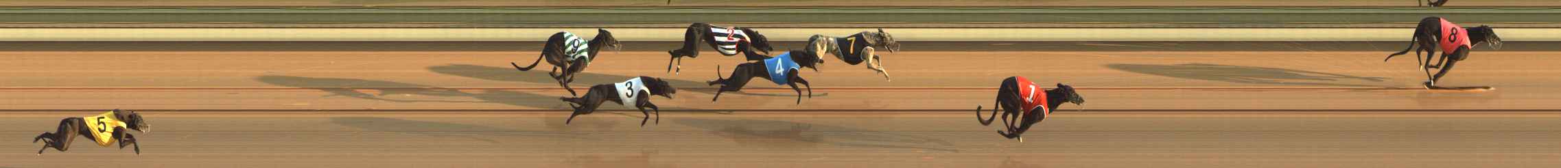 Photo finish for The Meadows Race 2