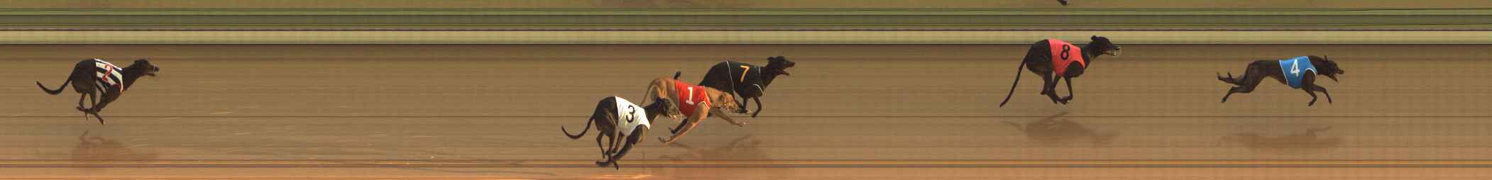 Photo finish for The Meadows Race 3