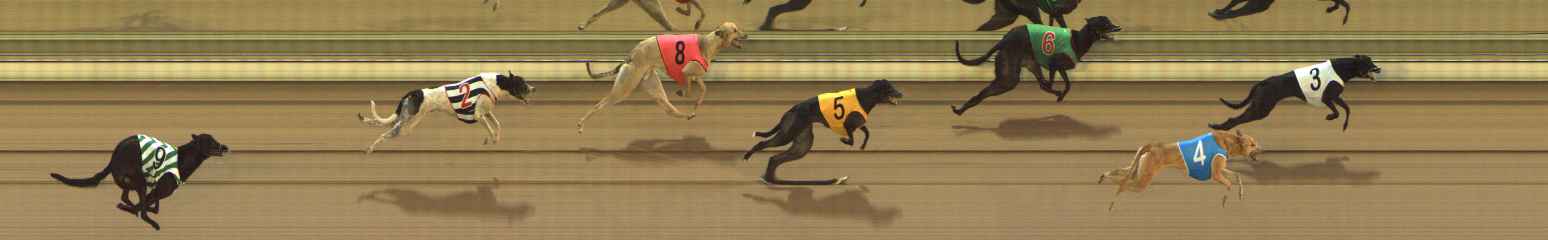 Photo finish for The Meadows Race 4