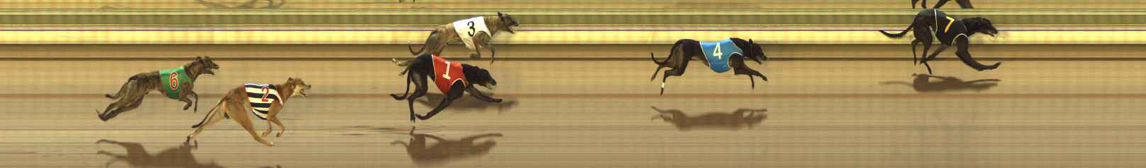 Photo finish for The Meadows Race 5