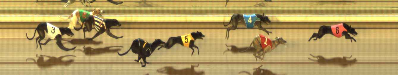 Photo finish for The Meadows Race 6