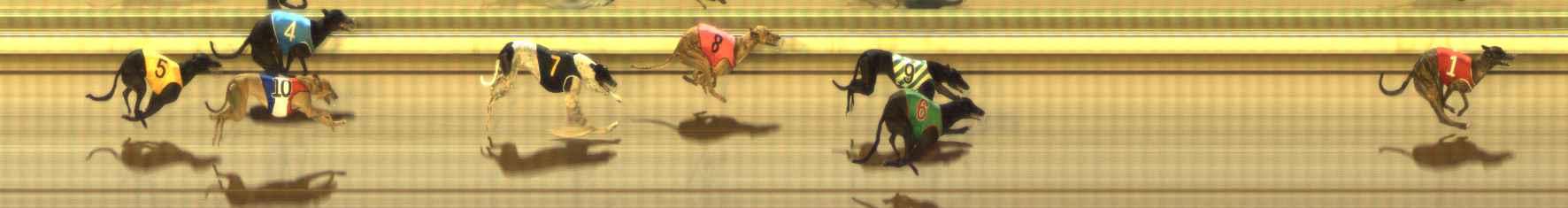 Photo finish for The Meadows Race 7